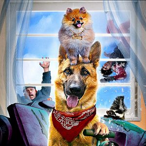 Bilder Zwei Helden auf acht Pfoten