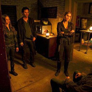 Bilder Tracy Spiridakos