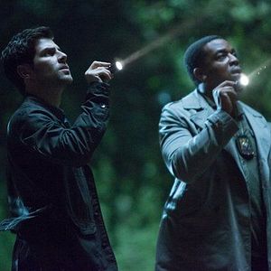 Bilder David Giuntoli