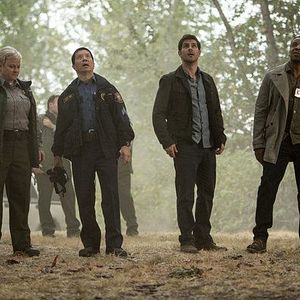 Bilder David Giuntoli