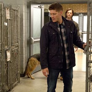 Bilder Jensen Ackles