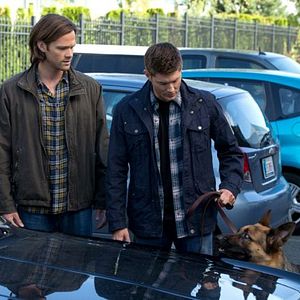 Bilder Jensen Ackles