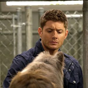 Bilder Jensen Ackles