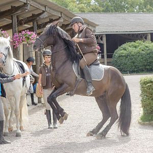 Bilder Martin Jobert