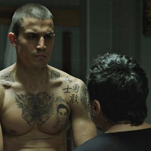 Bilder Scorpion: Brother. Skinhead. Fighter.