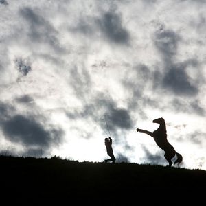 Bilder Ungezähmte Herzen - Ein Mustang zum Verlieben