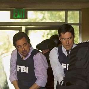 Bilder Thomas Gibson