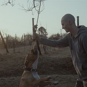 Bilder My Dog Killer