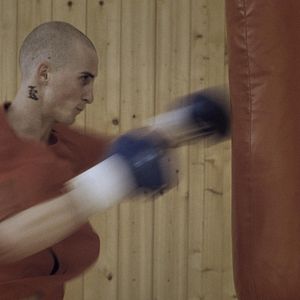 Bilder My Dog Killer