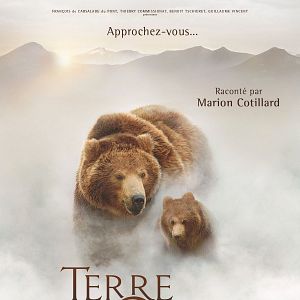 Bilder Im Land der Bären