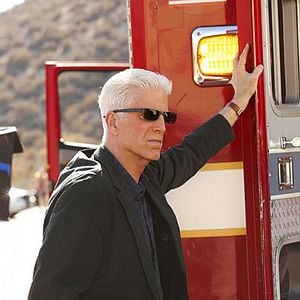 Bilder Ted Danson