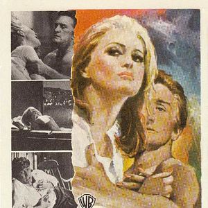 Bilder Das Arrangement