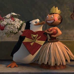 Bilder Verrücktes Madagascar