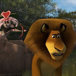 Bilder Verrücktes Madagascar