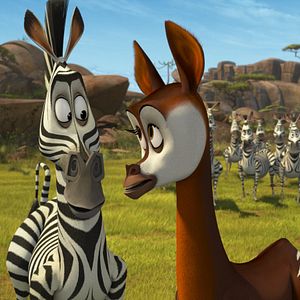 Bilder Verrücktes Madagascar