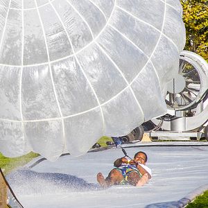 Bilder Jackass Forever