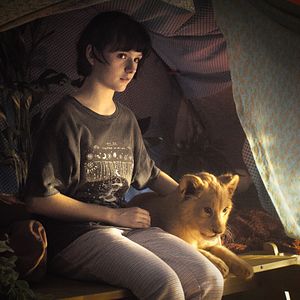 Bilder Lou Lambrecht