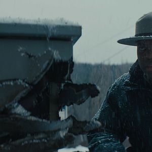 Bilder Werewolves Within