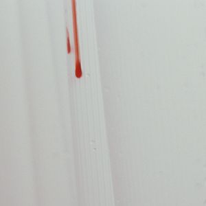 Bilder Trouble Every Day