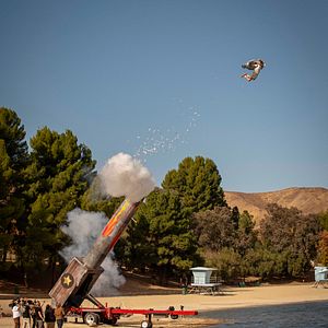 Bilder Jackass Forever