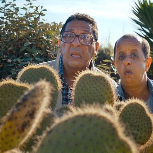 Bilder Le Médecin imaginaire