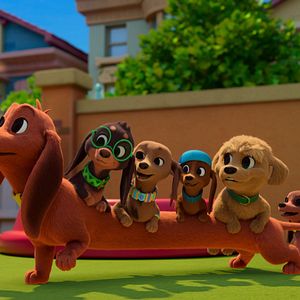 Bilder Brezel und seine Dackel-Familie