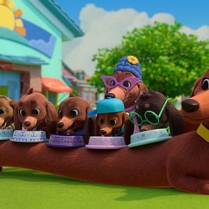 Bilder Brezel und seine Dackel-Familie