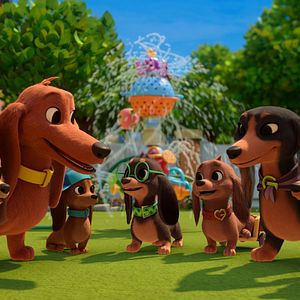 Bilder Brezel und seine Dackel-Familie