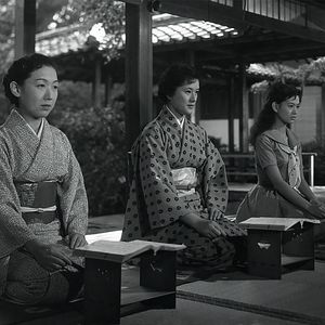 Bilder Der Mond ist aufgegangen