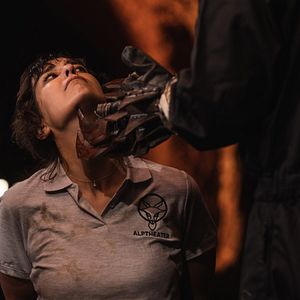 Bilder Der Wolf und die 7 Geißlein