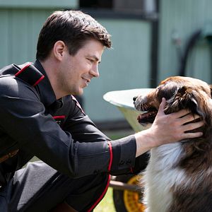 Bilder Rettungshund Ruby