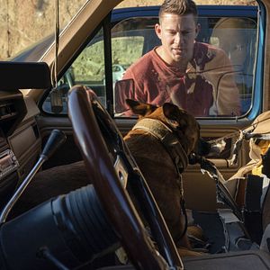 Bilder Dog - Das Glück hat vier Pfoten