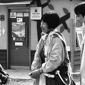 Bilder Die Schriftstellerin, ihr Film und ein glücklicher Zufall