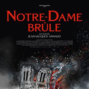 Bilder Notre-Dame in Flammen