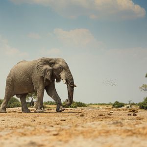 Bilder Überleben im Paradies: Eine Familiengeschichte