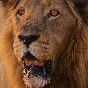 Bilder Überleben im Paradies: Eine Familiengeschichte