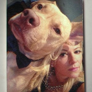 Bilder Bad Vegan: Berühmt und betrogen