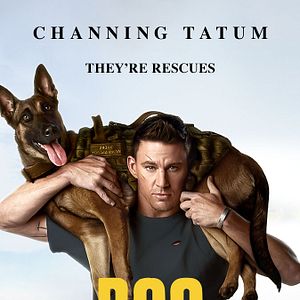 Bilder Dog - Das Glück hat vier Pfoten