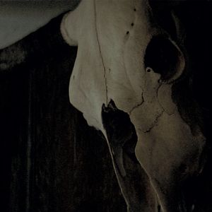 Bilder The Dark And The Wicked