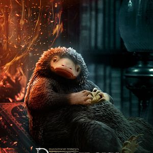 Bilder Phantastische Tierwesen 3: Dumbledores Geheimnisse