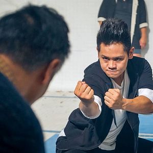 Bilder The Paper Tigers