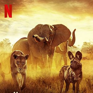 Bilder Überleben im Paradies: Eine Familiengeschichte