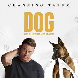 Bilder Dog - Das Glück hat vier Pfoten