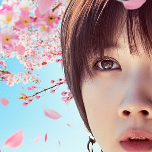 Bilder Love Like The Falling Petals