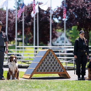 Bilder Rettungshund Ruby