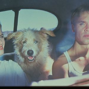 Bilder Kristy Swanson