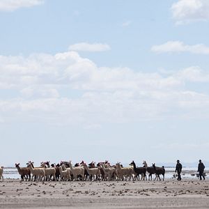 Bilder Utama. Ein Leben in Würde