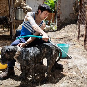 Bilder Gangs of Madrid – El Inmortal