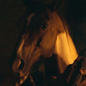 Bilder No Man's Land - Crossing the Line