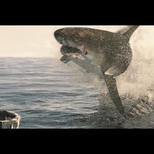 Bilder The Requin - Der Hai